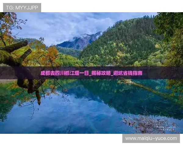 足球App彩票高频玩法避坑指南极速提现防骗 足球App彩票高频玩法避坑指南极速提现防骗